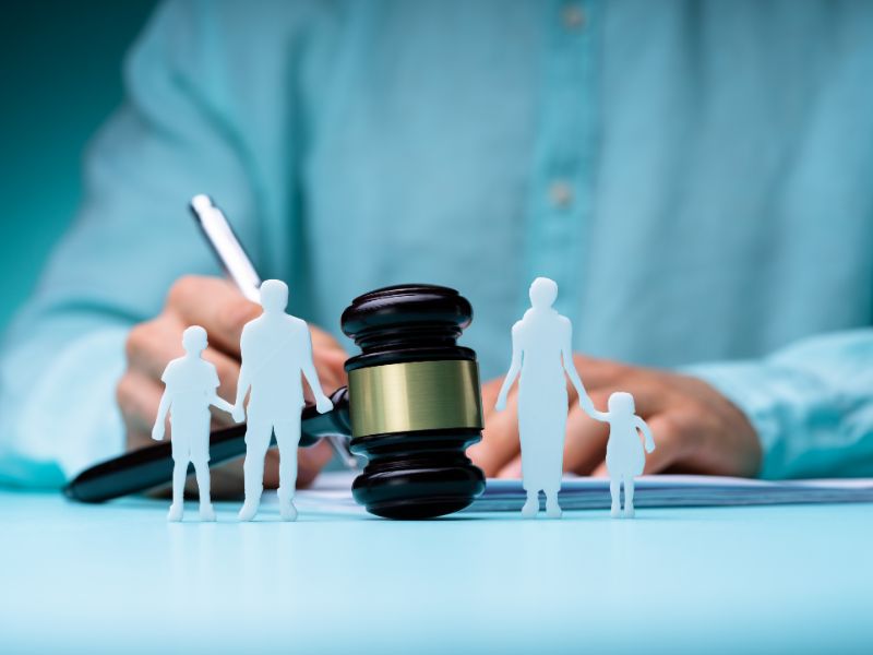 Divorce lawyer role