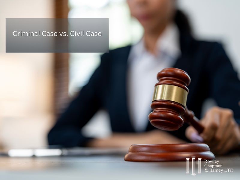 criminal case vs civil case and legal person holding gavel